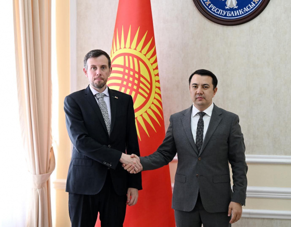 Марлен Маматалиев Улуу Британиянын элчиси Николас Боулерди кабыл алды