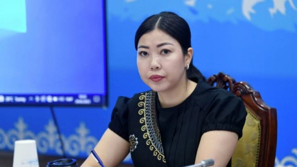 Мурдагы депутат министрдин орун басары болуп дайындалды