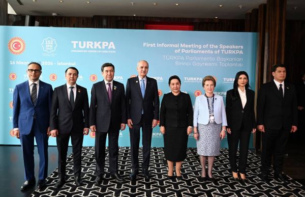 ЖК төрагасы ТүркПАнын Стамбулда өткөн бейформал жолугушуусуна катышты