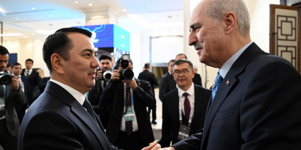 Маматалиев Түркиядан дарыланууга бөлүнгөн квотаны көбөйтүүнү сунуштады