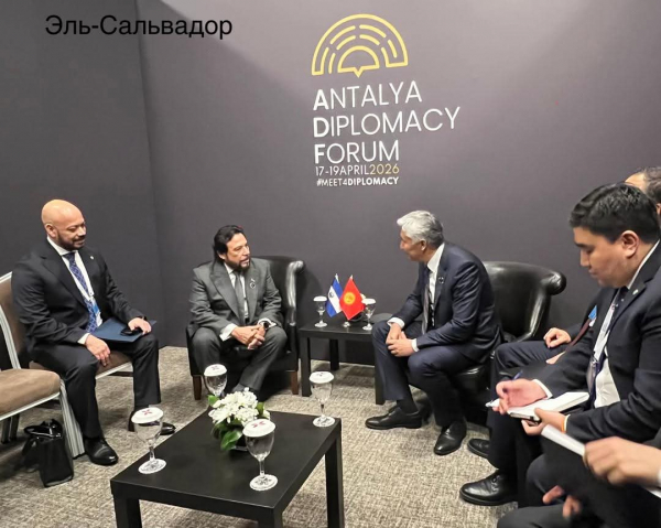 Азамат Кадыралиев чет өлкөлүк өнөктөштөр менен бир катар эки тараптуу жолугушууларды өткөрдү