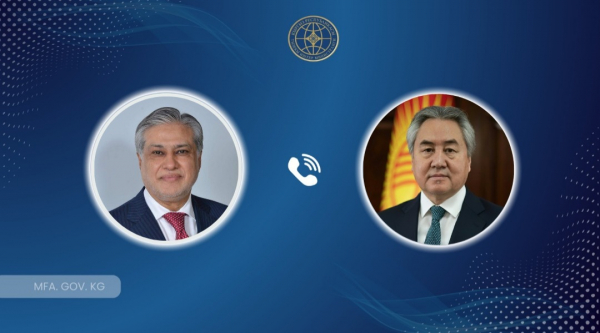 Жээнбек Кулубаев Пакистандын ТИМ башчысы менен сүйлөштү