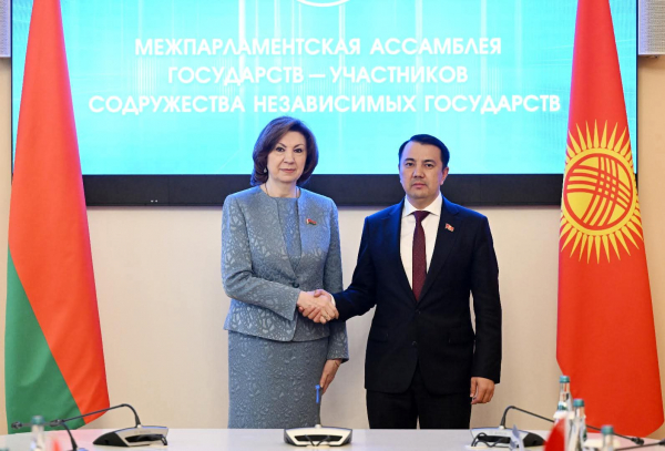 Беларусь тарапка кыргызстандык бейтаптар үчүн квота бөлүү сунушталды