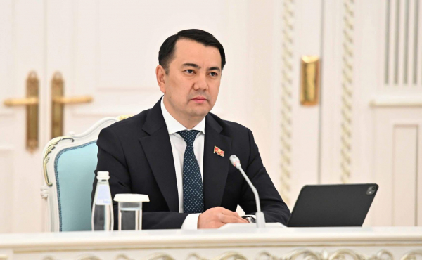 Маматалиев Токаевге Астанадагы көчөлөрдүн биринин атын өзгөртүүнү сунуштады